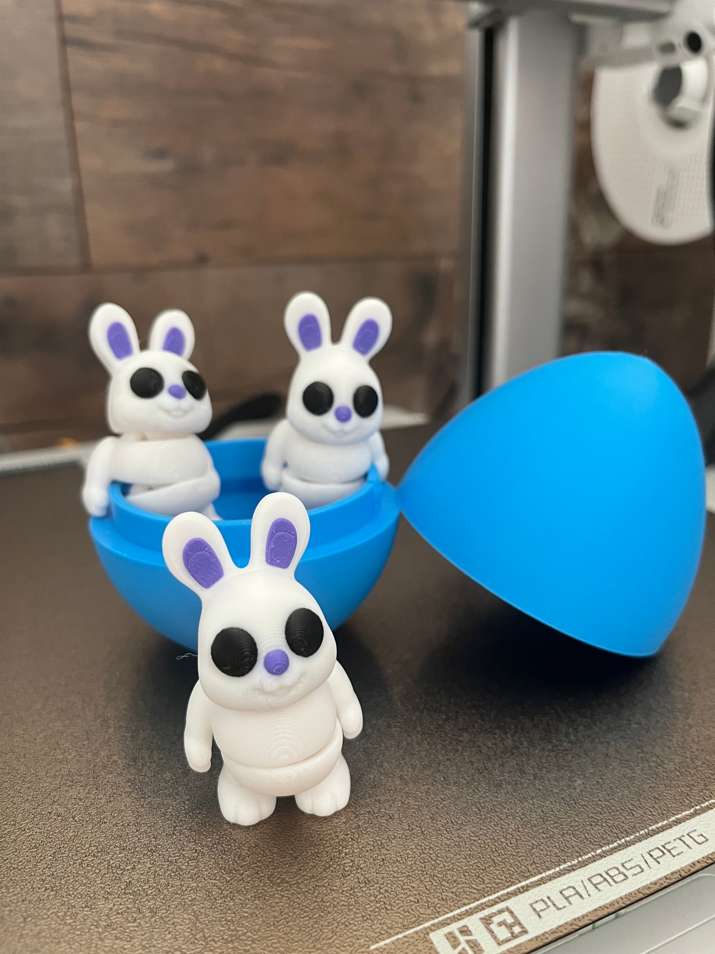 Mini Kanin