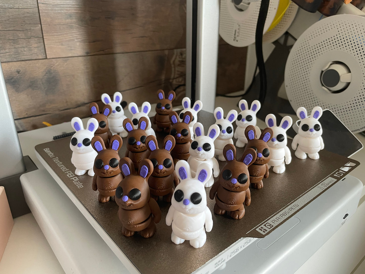 Mini Kanin