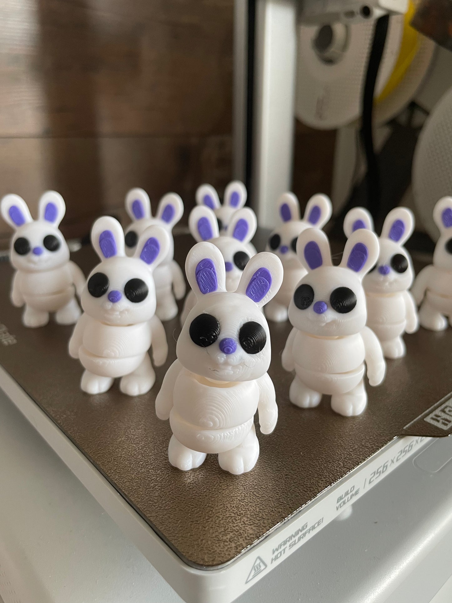 Mini Kanin
