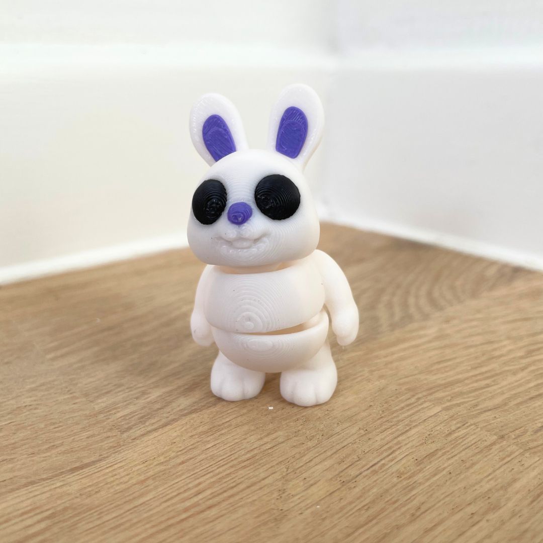 Mini Kanin