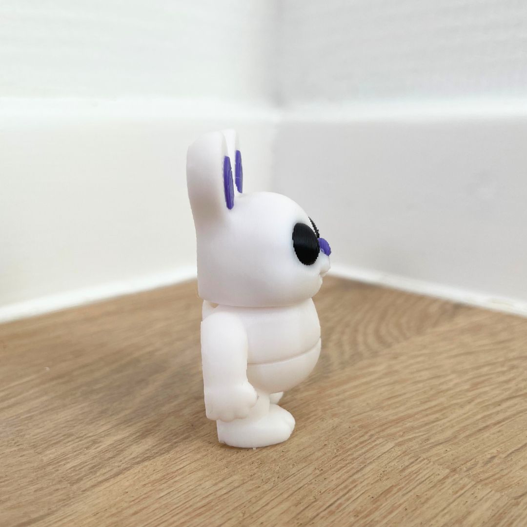Mini Kanin