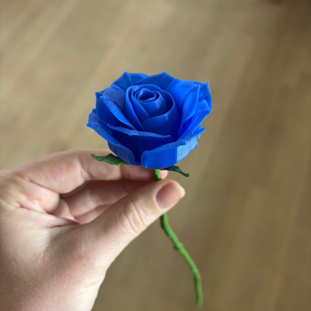 Langstilket rose
