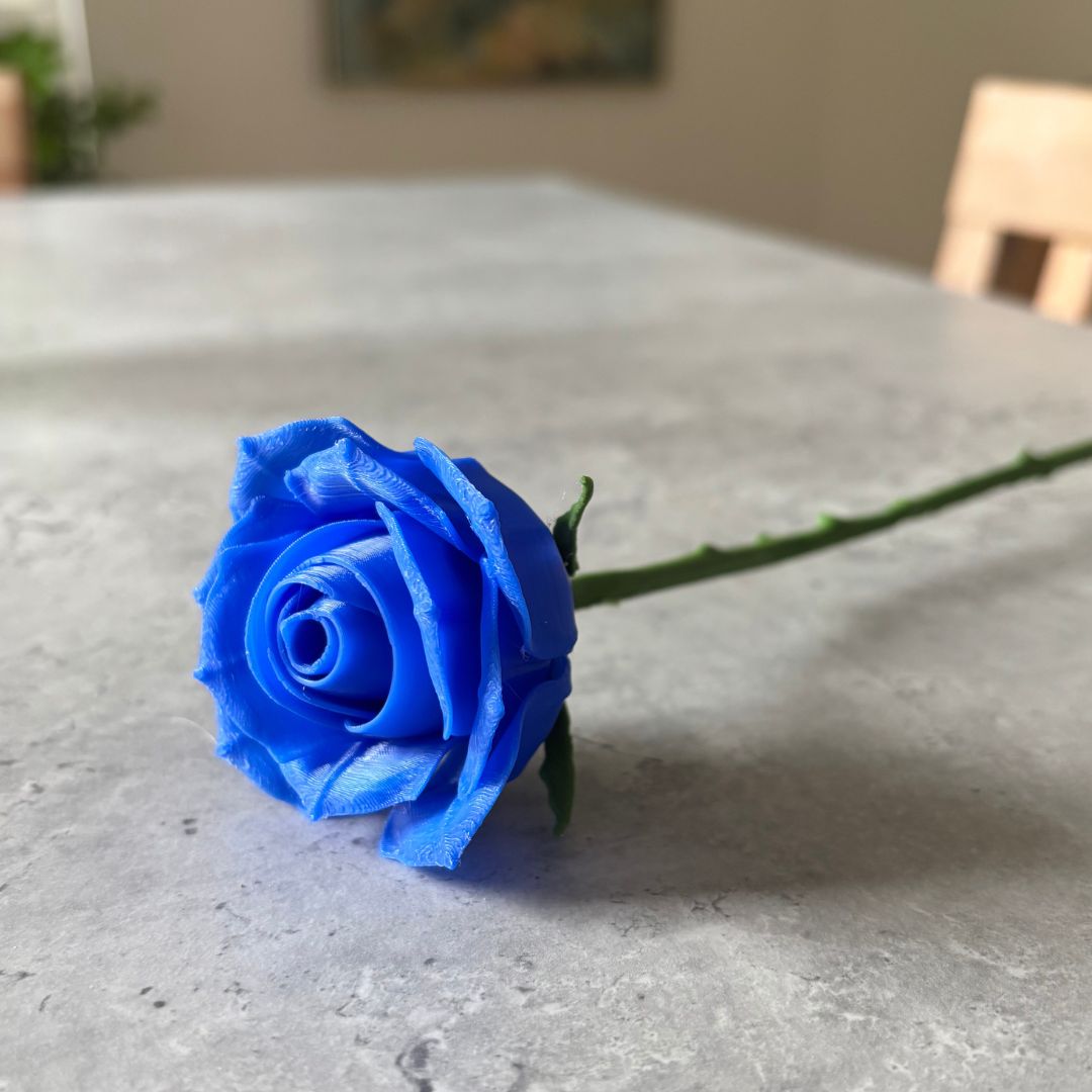 Langstilket rose
