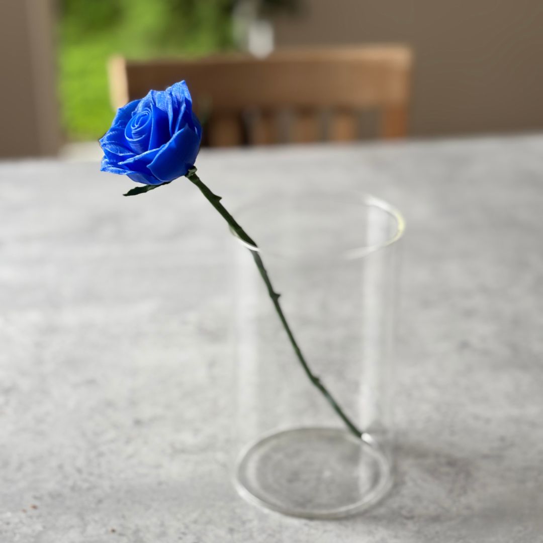Langstilket rose