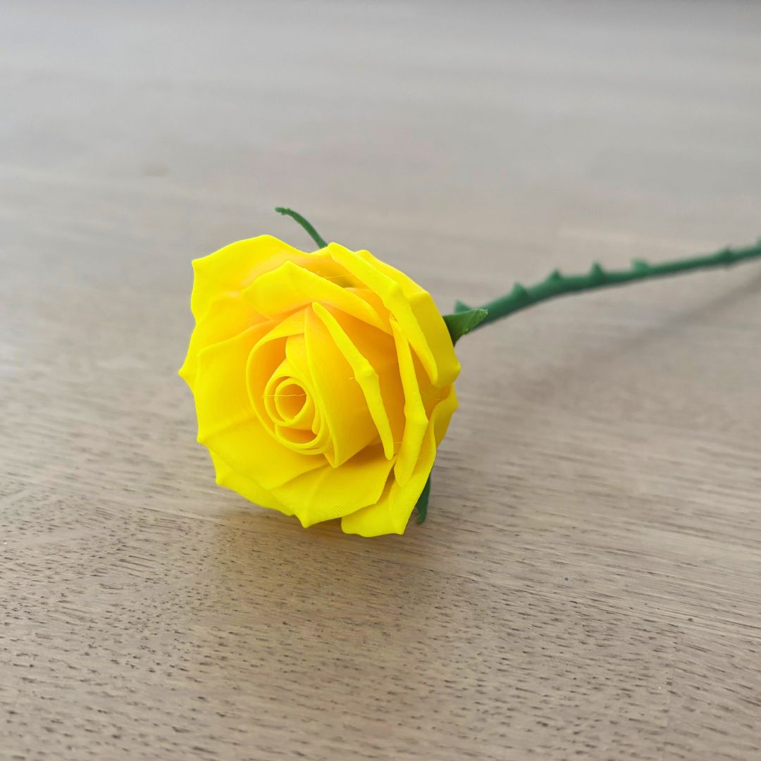 Langstilket rose