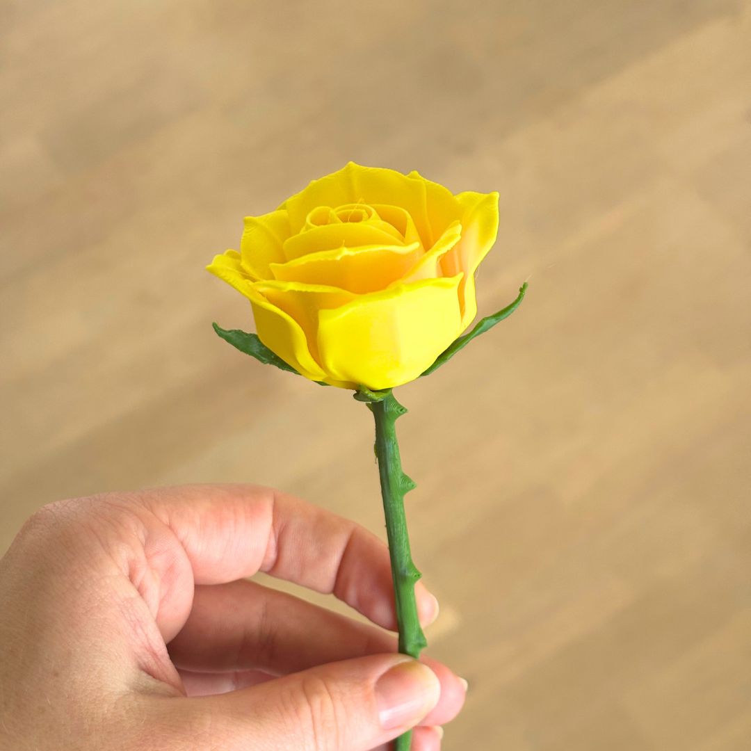 Langstilket rose