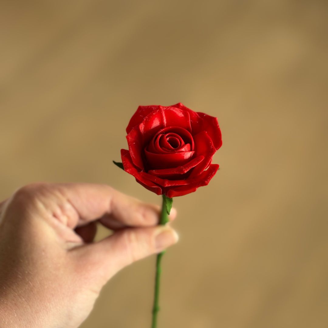 Langstilket rose