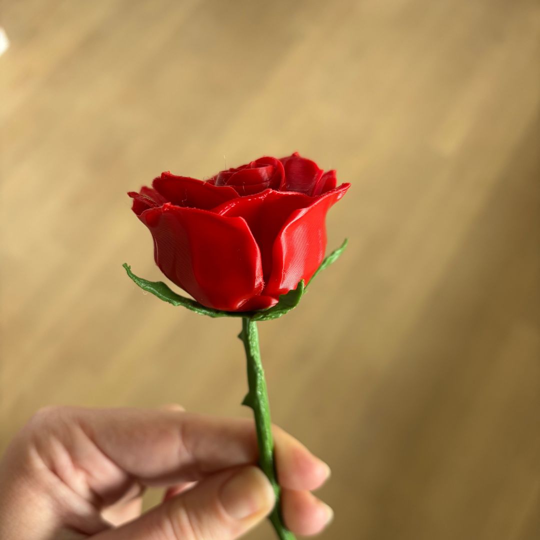 Langstilket rose