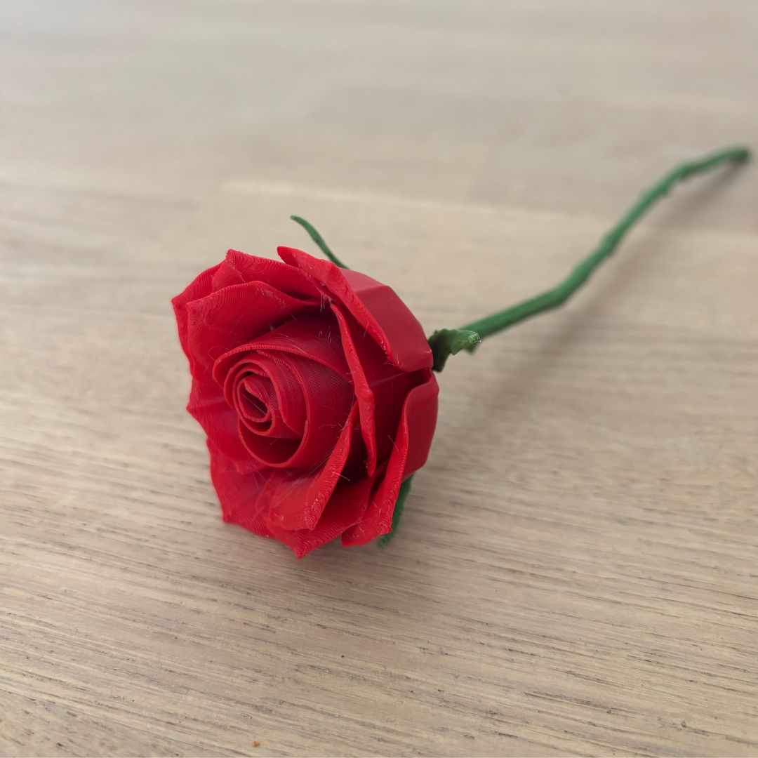 Langstilket rose