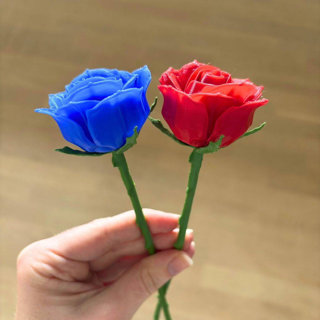 Langstilket rose
