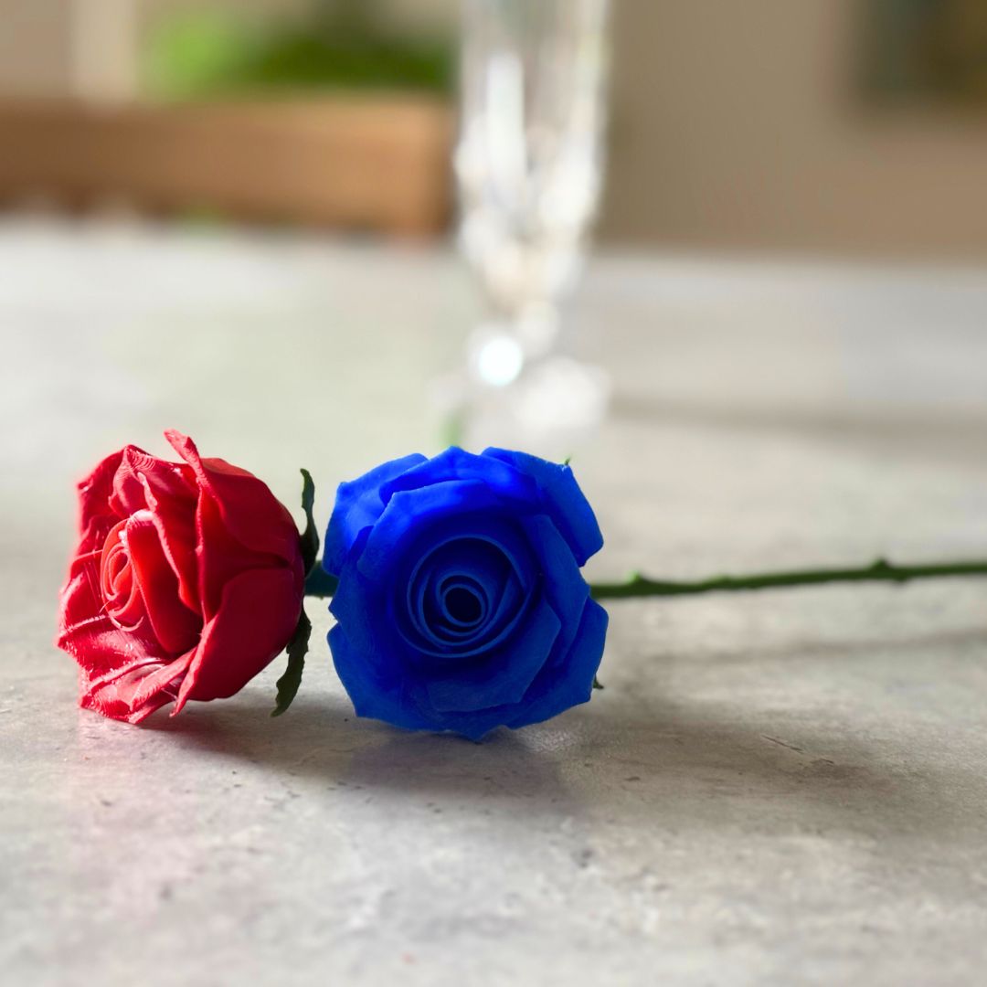 Langstilket rose