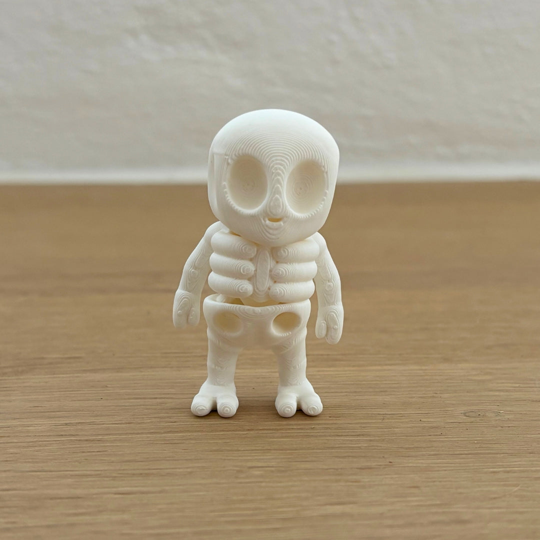 Mini Skelet