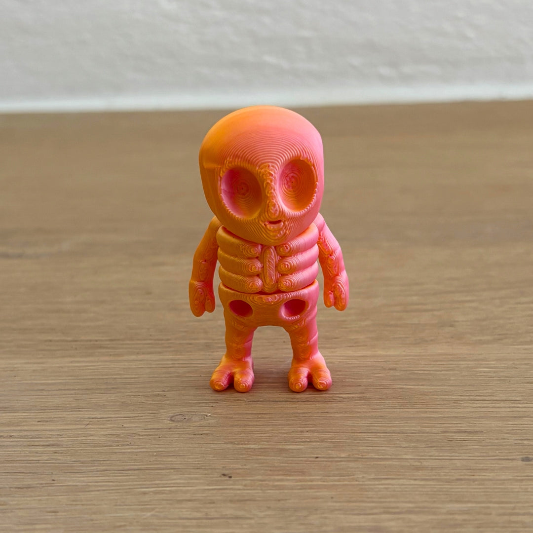 Mini Skelet