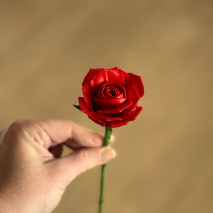 Langstilket rose