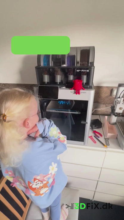 Mini Kanin